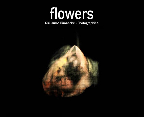 Guillaume Dimanche - Flowers Guillaume Dimanche - Flowers