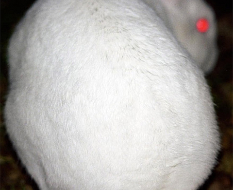 Présentation des travaux de diplôme des étudiants de l'ENSP - Promotion 2009