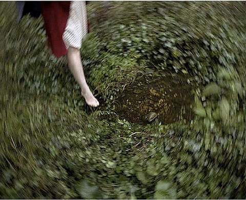 Puy Pinillos - Tierra Sonambula