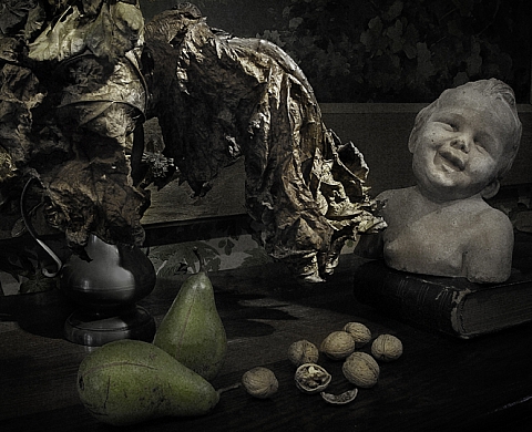 les cuvées photosensibles