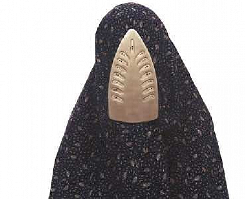 Shadi Ghadirian à la Galerie Baudoin Lebon Shadi Ghadirian à la Galerie Baudoin Lebon