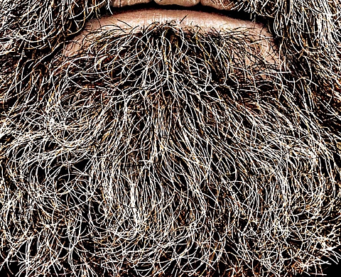 DIMITRI TOLSTOÏ - LE BARBIER DE TOLSTOÏ DIMITRI TOLSTOÏ - LE BARBIER DE TOLSTOÏ