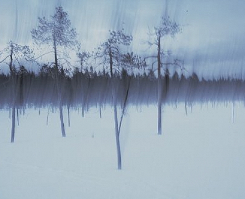 Jenny Lexander SISU Photographies Jenny Lexander SISU Photographies