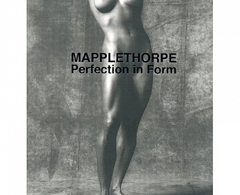 Robert Mapplethorpe Perfection in Form Robert Mapplethorpe Perfection in Form