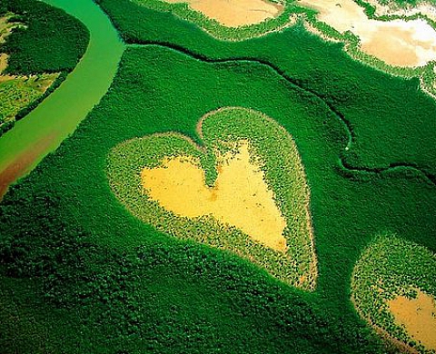Yann Arthus-Bertrand Home