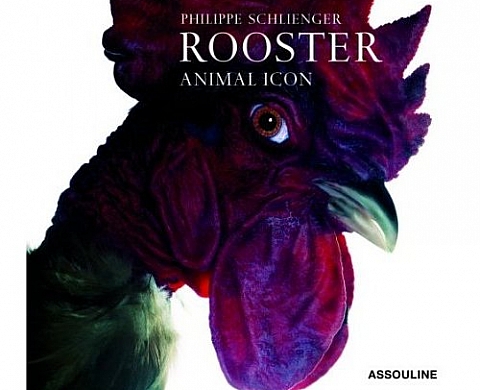Philippe Schlienger Roosters Philippe Schlienger Roosters
