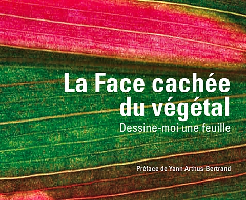 Jean Hincker - La face cachée du végétal Jean Hincker - La face cachée du végétal