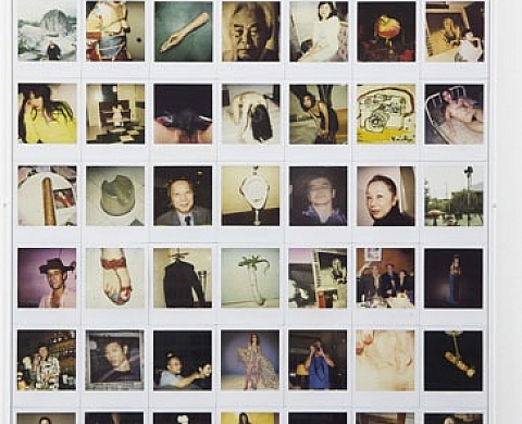 Nobuyoshi Araki - Polart 6000