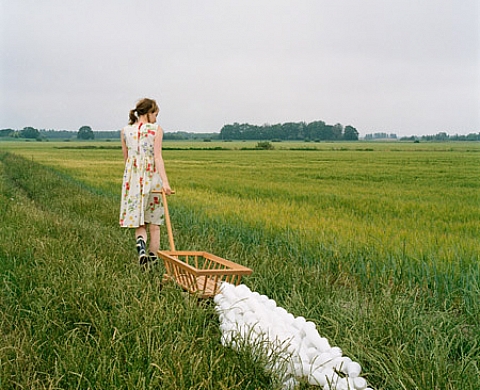  New Nordic Photography 2009  