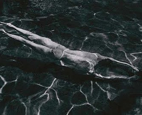 André Kertész : un photographe avant-gardiste André Kertész : un photographe avant-gardiste