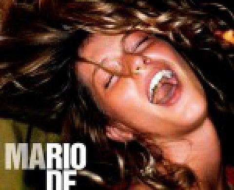 Mario Testino : Rio De Janeiro Mario Testino : Rio De Janeiro