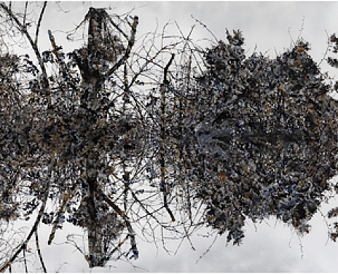 Stefan Sehler « Le Chemin de Peinture »