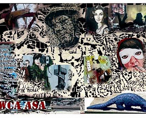 STREET ART : exposition des collectifs WCA et ASA