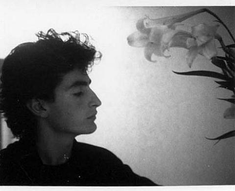 Robert Mapplethorpe : Polaroids and Silver Prints In Context 