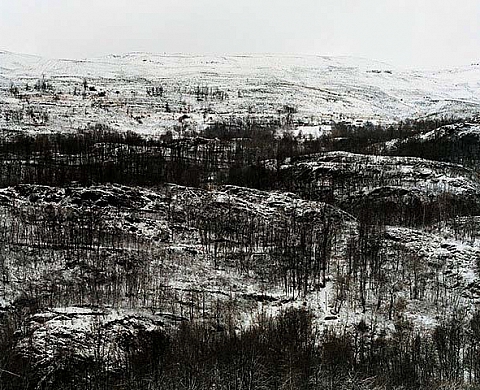 Richard Petit CHEAP LAND