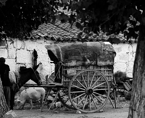 Tommy Olof Espagne - Année 60 Tommy Olof Espagne - Année 60