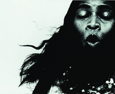 Musée Réattu, Chambres d'écho