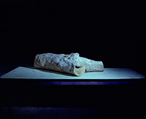 Benoit Vollmer en deux expositions Benoit Vollmer en deux expositions