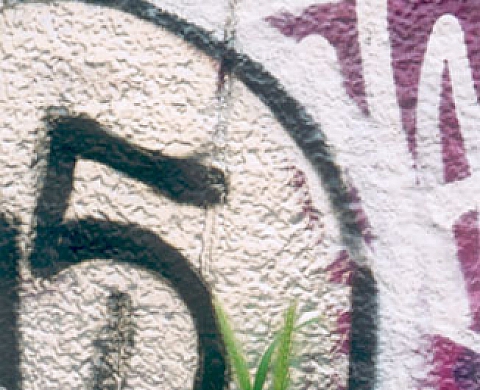 Karine Paoli Natur'elle Graffiti's Karine Paoli Natur'elle Graffiti's