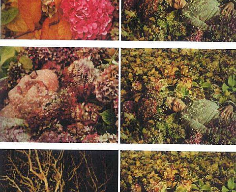 Audrey Armand La Caresse, 2009