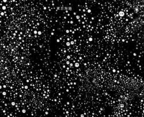 Renato d'Agostin « Tokyo Untitled » Renato d'Agostin « Tokyo Untitled »