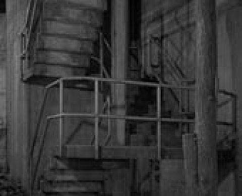 Nicole Hametner ASTER