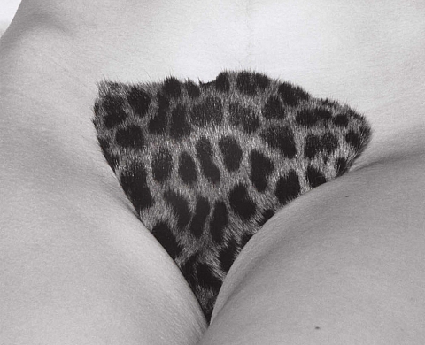 Copyright Leo Dohmen