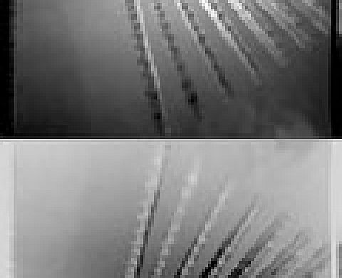 Antoine Dumont Effet Dentelle