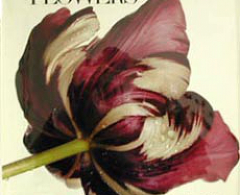 Irving Penn FLOWERS Irving Penn FLOWERS