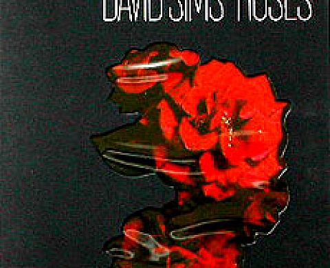 VISIONAIRE N°40 - DAVID SIMS ROSES VISIONAIRE N°40 - DAVID SIMS ROSES