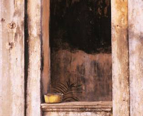 Catherine Laurent L'âme brésilienne de Porto-Novo - Mémoires suspendues…