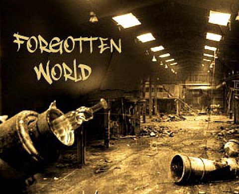 Frédéric Grimaud - Forgotten world