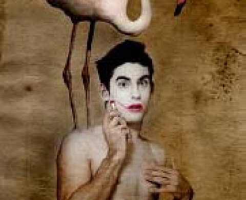 SOGA - Totems et Tabous