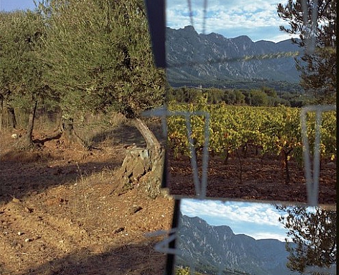 PHOTOfolies 2009  : Une ouverture vers d'autres 