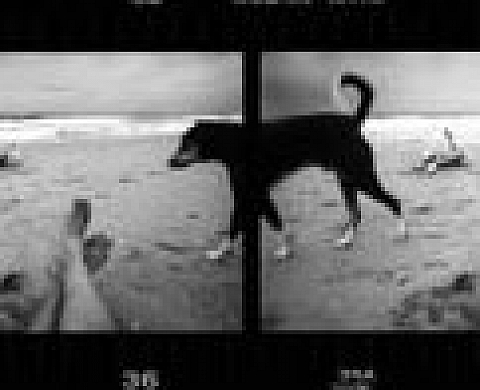 Sohrab Hura - Photographie Sohrab Hura - Photographie
