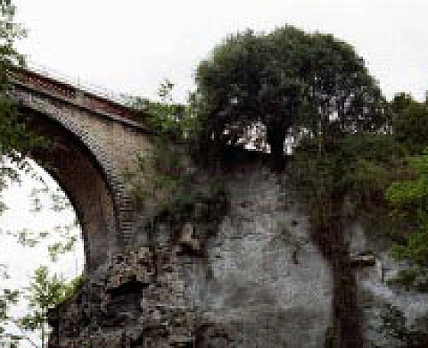 REMY MARLOT : THE VALLEY