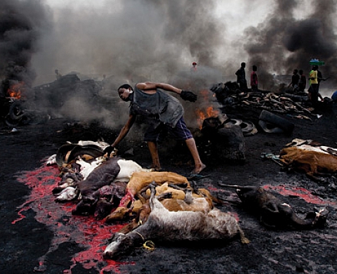 Kofi Annan annoncera le lauréat du Prix Pictet 2009 le 22 octobre