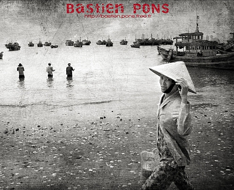 Bastien PONS - BLACK-OUT