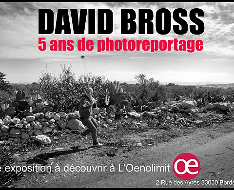 David Bross 5 ans de photoreportage David Bross 5 ans de photoreportage