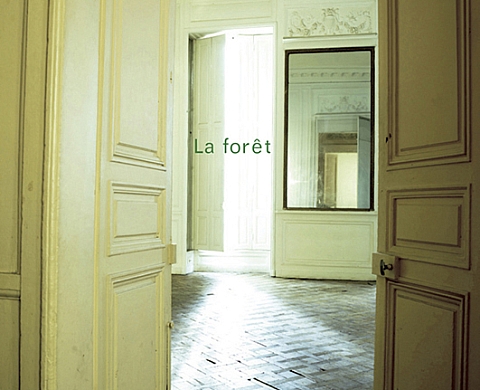 Laurent Monlaü La Forêt, photographie à l'appartement.