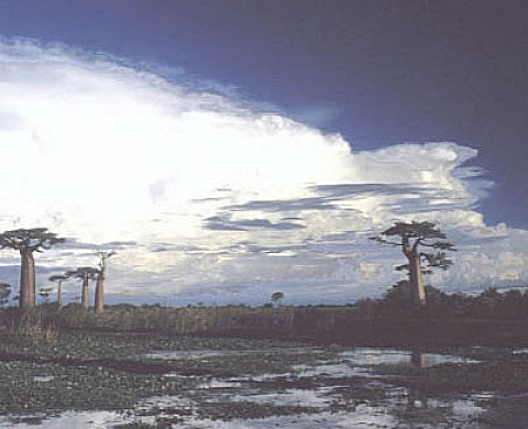 Vivian Estevenin Madagascar. Photographies.