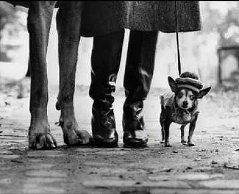 Personal Best - Elliott Erwitt Personal Best - Elliott Erwitt