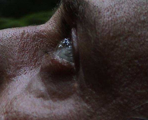 Le réel, nouvel opium ? - Galerie Les Filles du calvaire Le réel, nouvel opium ? - Galerie Les Filles du calvaire