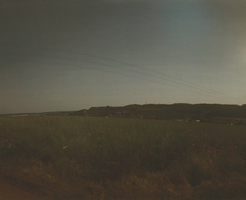 Embrasser le paysage. Se dévisager - Felten-Massinger Embrasser le paysage. Se dévisager - Felten-Massinger