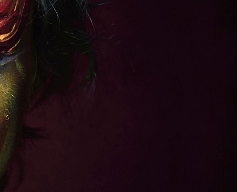 No man's land - Mhedi Zribi 