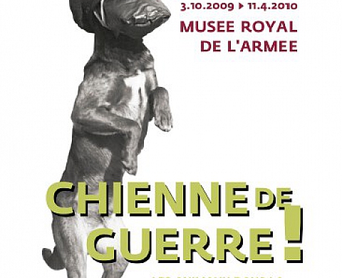 Chienne de Guerre! - Musée royal de l'Armée et d'Histoire militaire