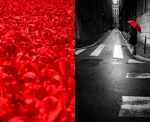 La poésie du réel - Amélie VIALE