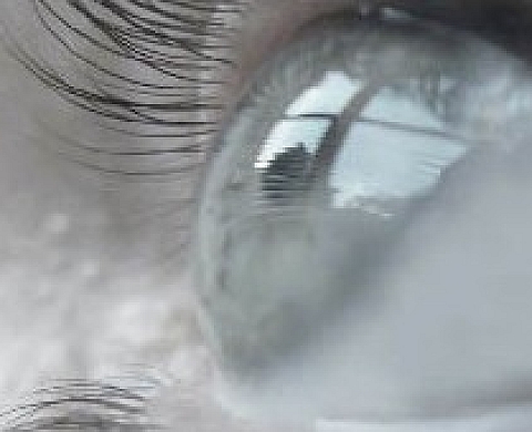 La terre d'à côté - Une invitation de Paul Pouvreau à Hughes Reip