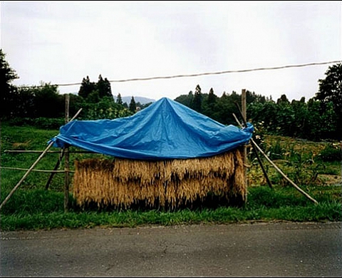 Aoba / la feuille bleue Bertrand Desprez