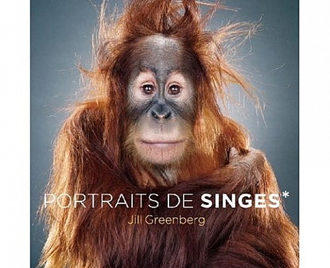 Portraits de singes - Jill Greenberg Portraits de singes - Jill Greenberg